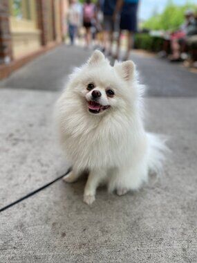 Meet your Posher, Ram